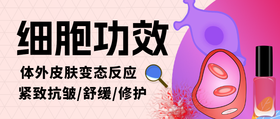 化妆品细胞功效试验