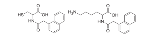 体外皮肤变态反应 氨基酸衍生化反应试验方法